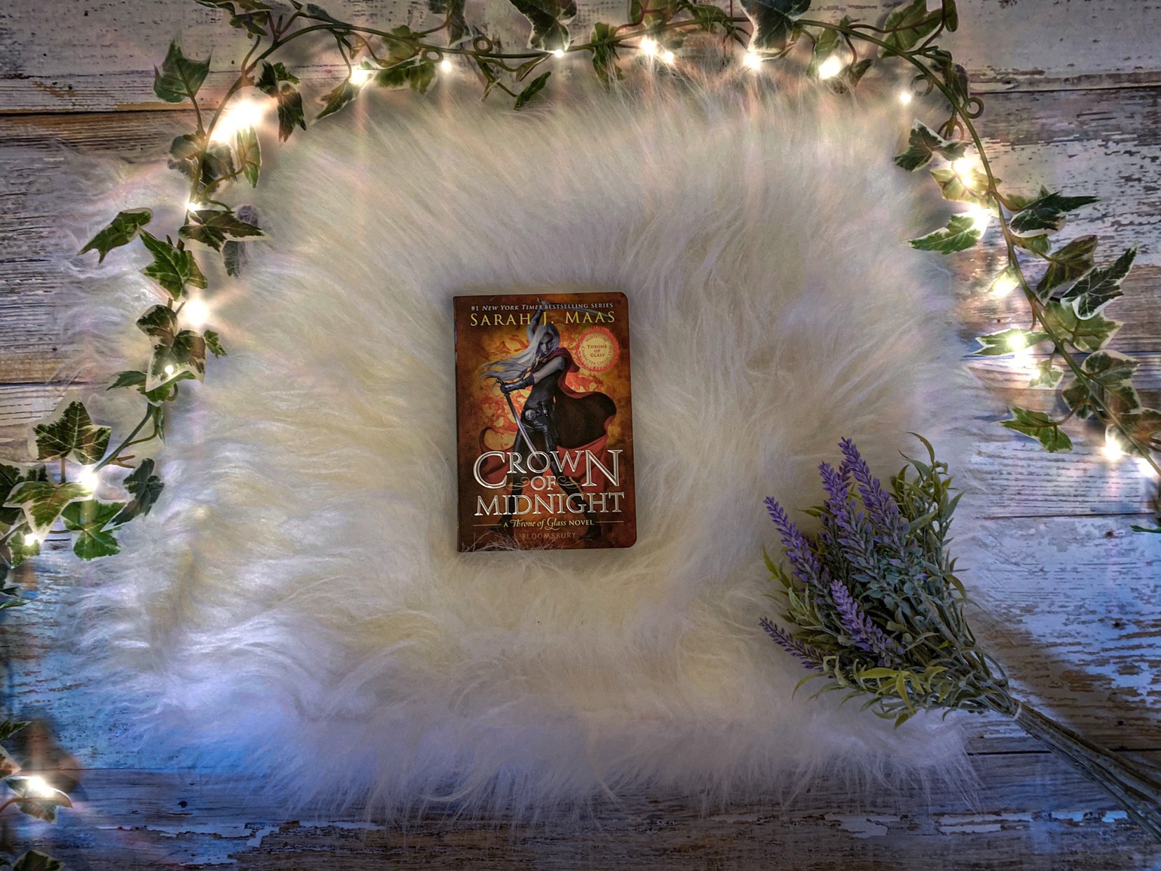 Crown of Midnight Book Review