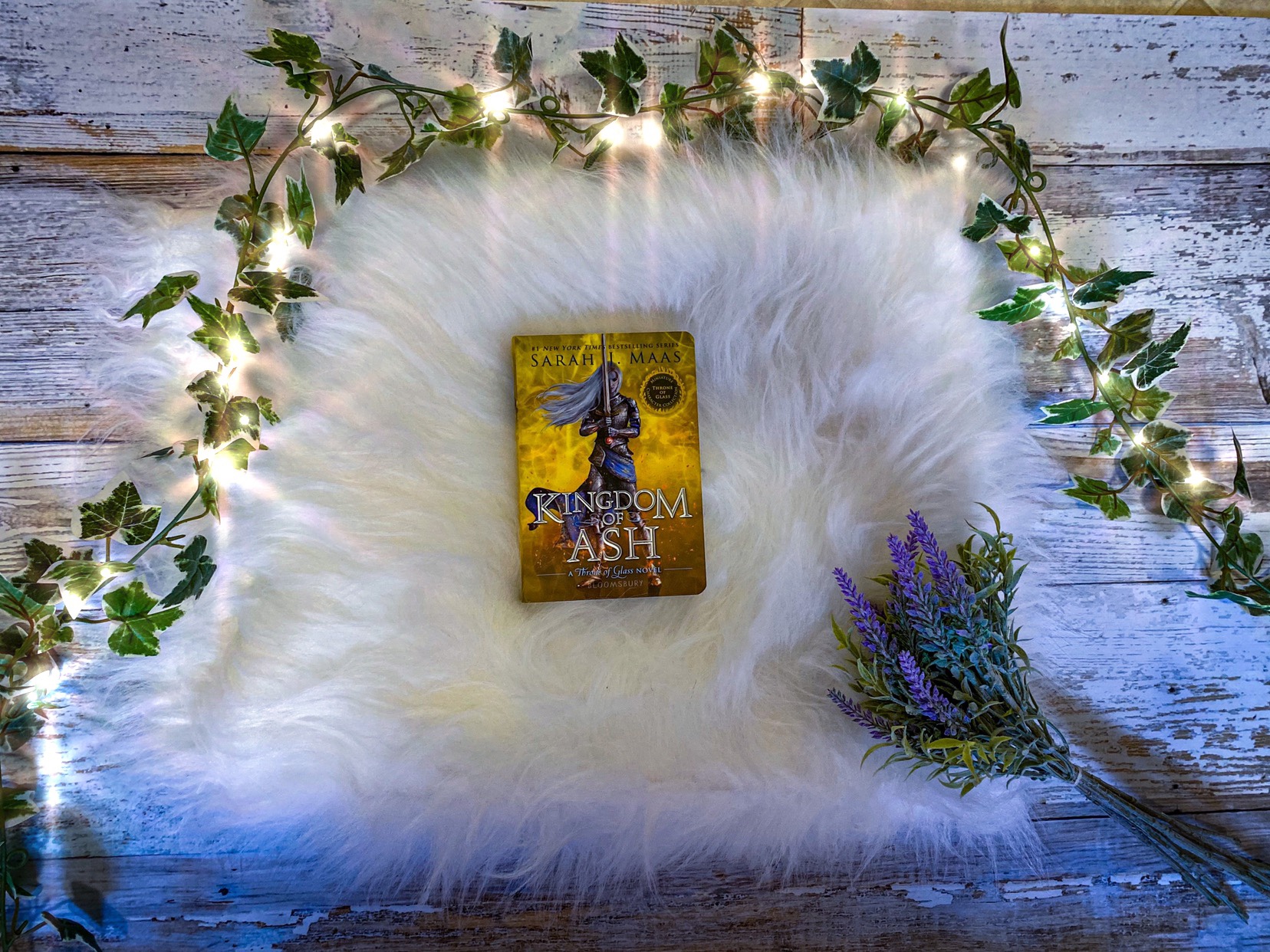 Kingdom of Ash Book Review