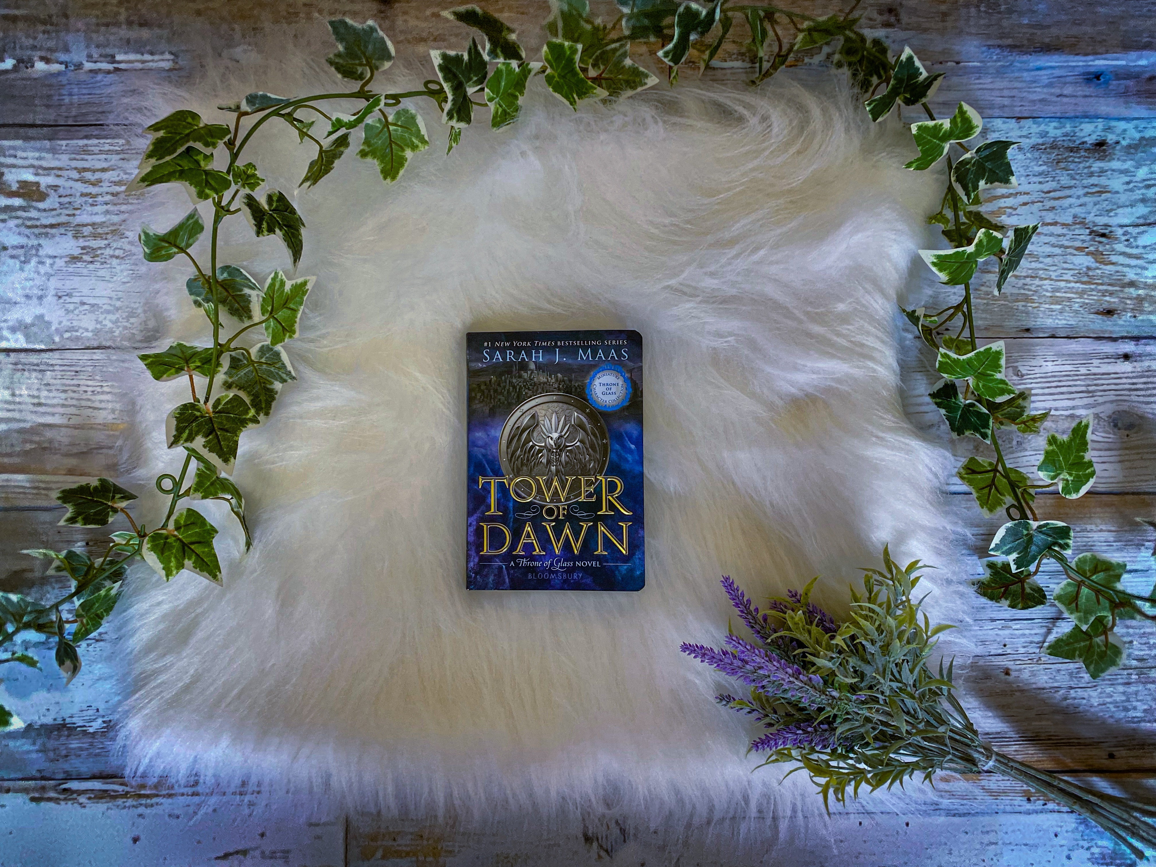 Tower of Dawn Book Review