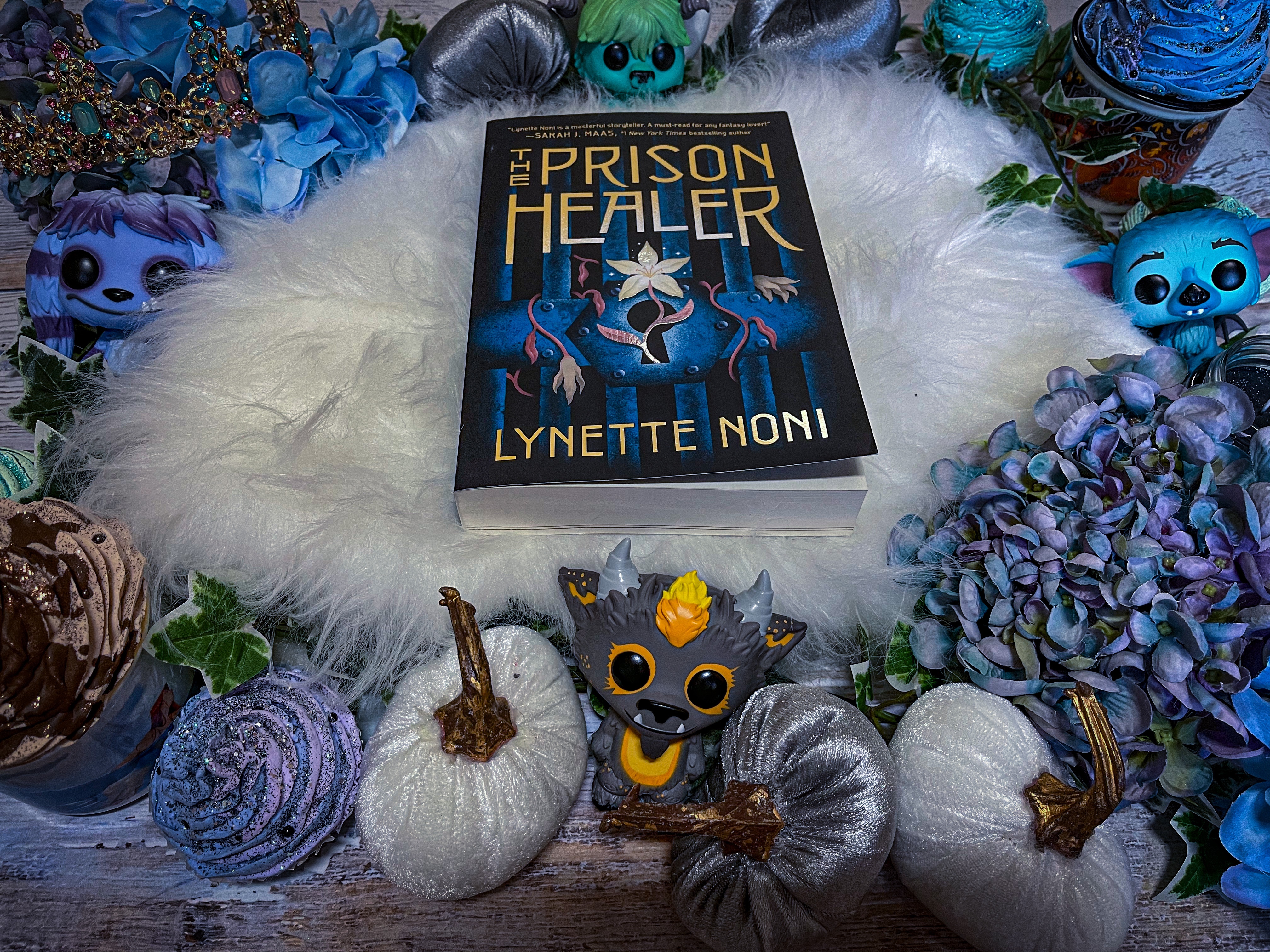 The Prison Healer Book Review